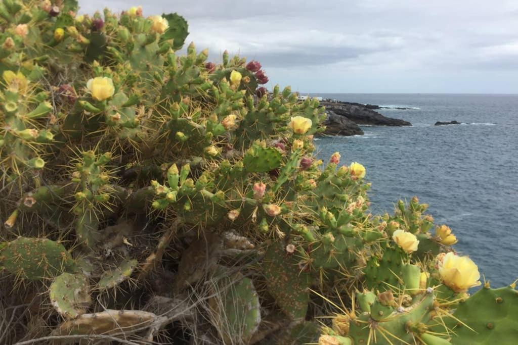 Appartamento Wonderful View Costa Adeje  Esterno foto
